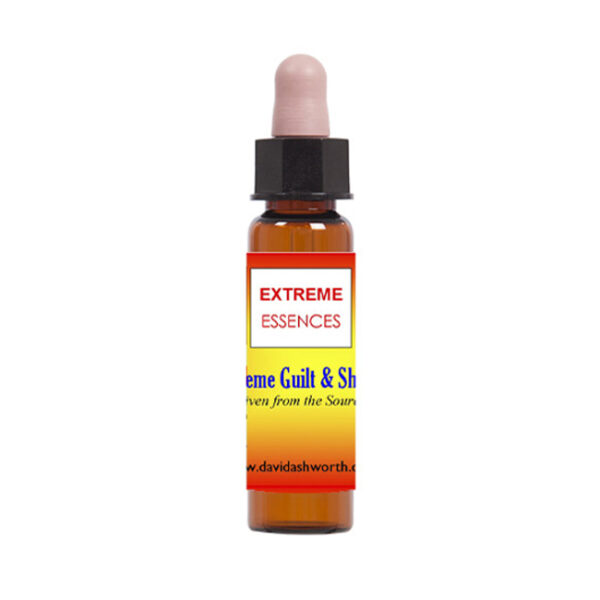 Extreme Guilt & Shame